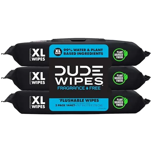 DUDE Wipes Unscented Flushable Adult Wet Wipes 144ct